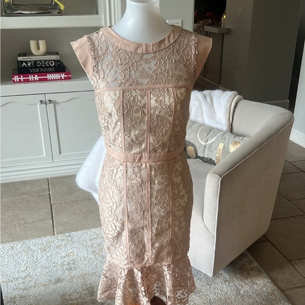 Paper Doll Blush Lace Midi Dress